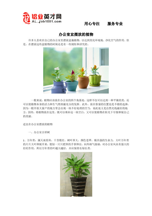 办公室宜摆放的植物