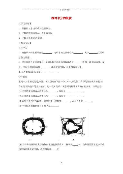 八年级生物上册 3.2.2根对水分的吸收名师精编学案(无答案)(新版)冀教版