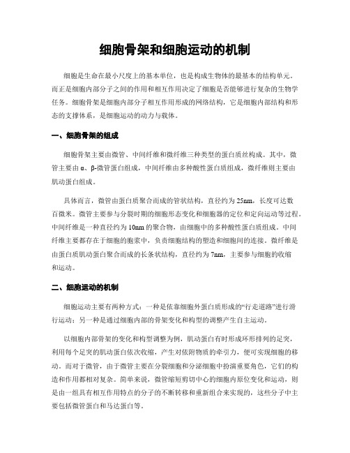 细胞骨架和细胞运动的机制