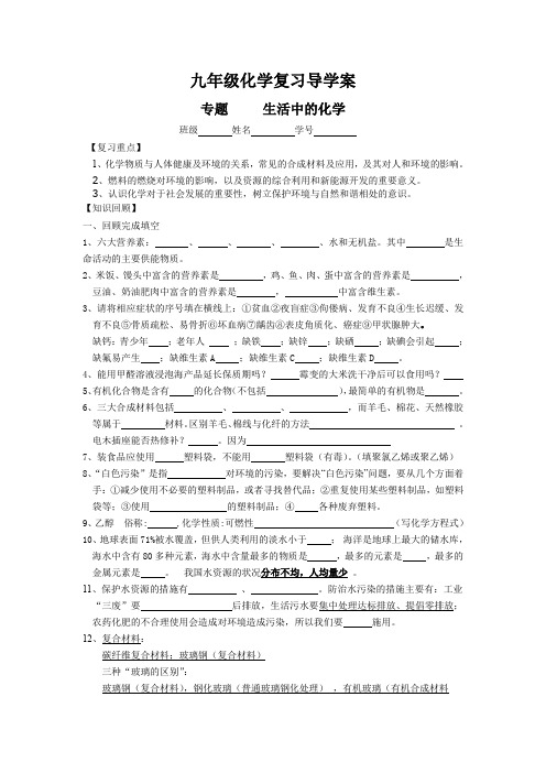 人教版初三化学下册专题 生活中的化学课复习课导学案及课后练习