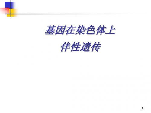 人教版必修二第二章第二节 基因在染色体上伴性遗传(共94张PPT).ppt1204203240706