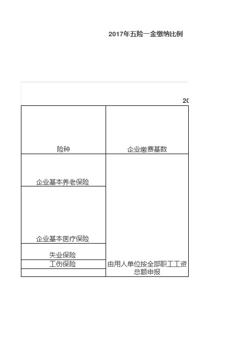 芜湖社保明细 (1)