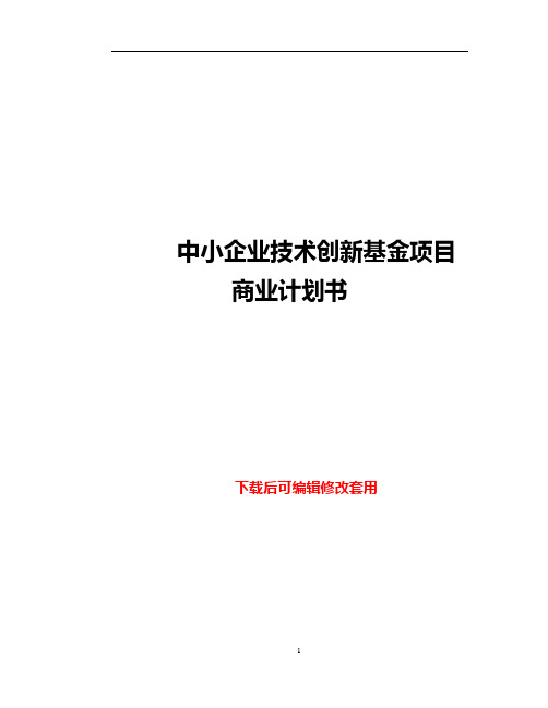 中小企业技术创新基金项目商业计划书word