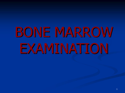 bone-marrow-examination讲课讲稿