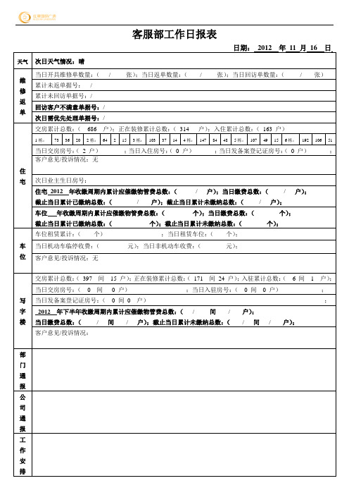 客服部工作日报表11.16