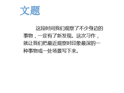 三年级上册语文作业课件习作阅读训练五人教部编版共12张PPT