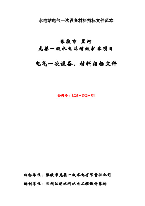 水电站电气一次设备材料招标文件范本