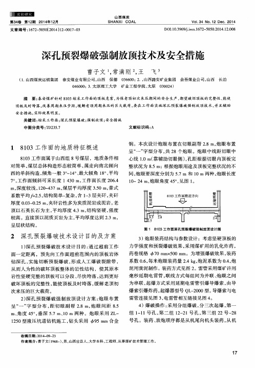 深孔预裂爆破强制放顶技术及安全措施