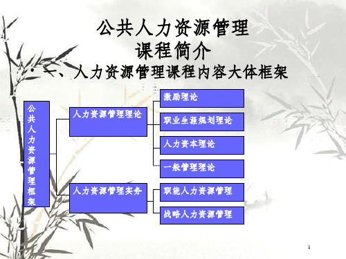 公共人力资源管理概述(ppt 165页)