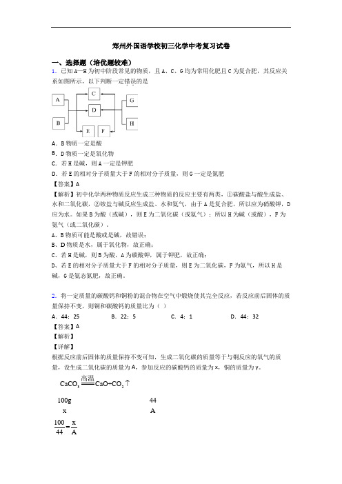 郑州外国语学校初三化学中考复习试卷