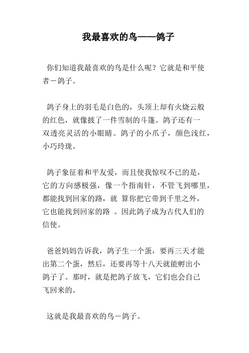 我最喜欢的鸟——鸽子