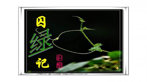 【精品】《囚绿记》pptx课件(49页)