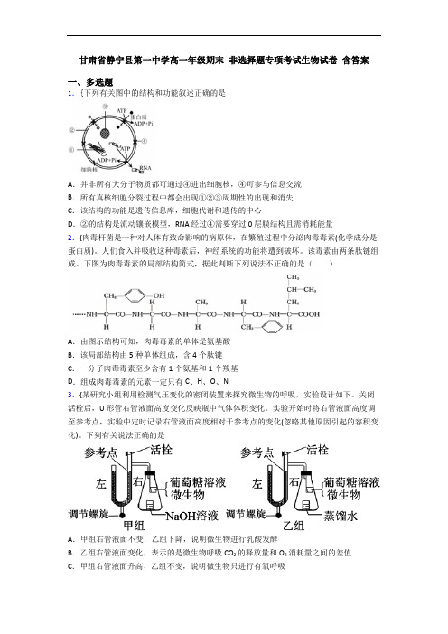 甘肃省静宁县第一中学高一年级期末 非选择题专项考试生物试卷 含答案