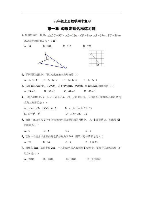 第一章《勾股定理》单元测试题(含答案)经典试题 (7)