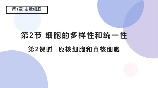 1.2.2原核细胞和真核细胞(含视频)(教学课件)—高一上学期生物人教版必修1