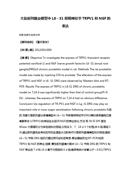 大鼠前列腺炎模型中L6～S1背根神经节TRPV1和NGF的表达