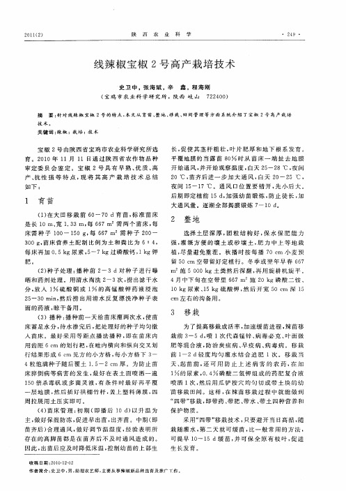 线辣椒宝椒2号高产栽培技术