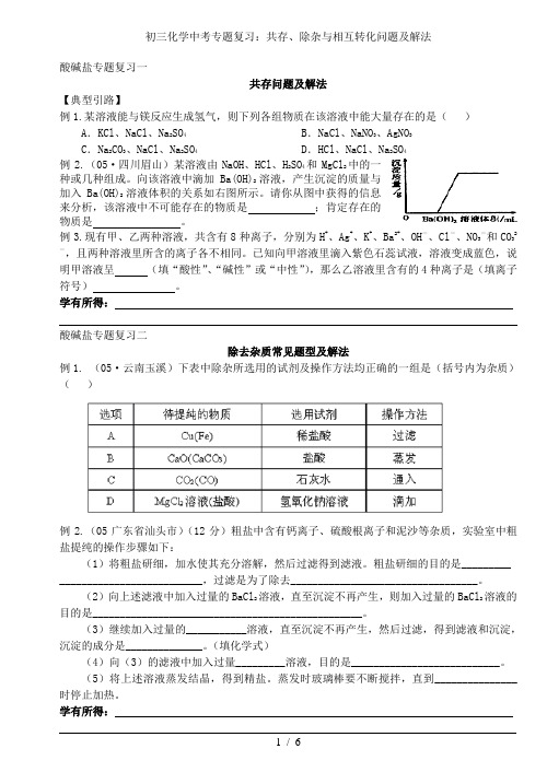 初三化学中考专题复习：共存、除杂与相互转化问题及解法