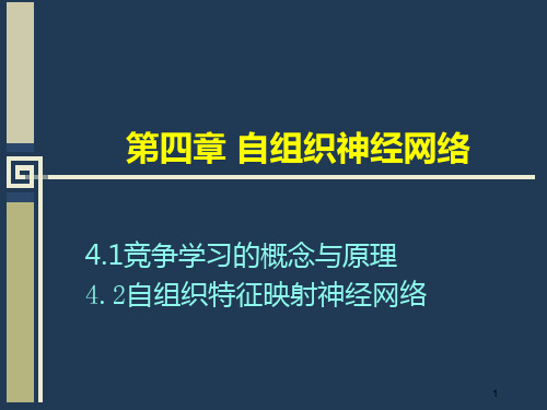 第四章 自组织竞争神经网络(第14周课)PPT课件