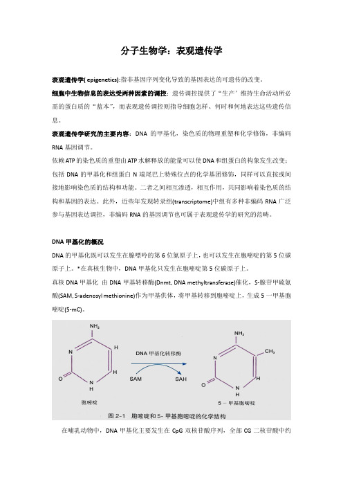 分子生物学之表观遗传学