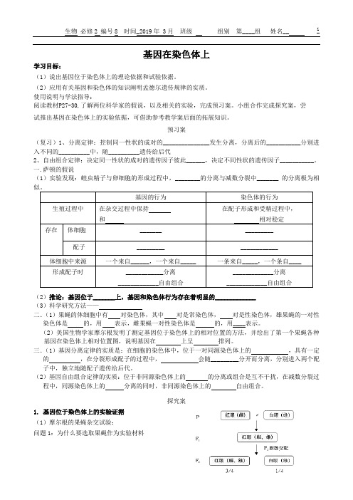 基因在染色体上(导学案)