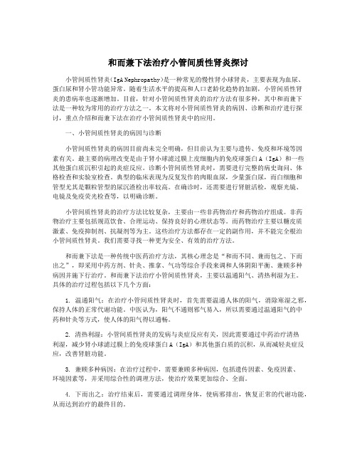 和而兼下法治疗小管间质性肾炎探讨