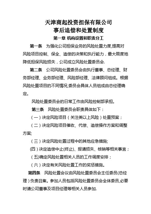 担保公司代偿处置办法