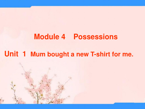 秋外研版(三起)五上Module 4《Unit 1 Mum bought a new T-shirt for me》ppt课件6