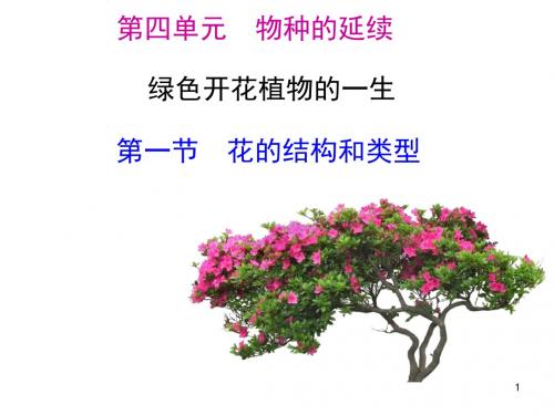 花的结构和类型ppt课件