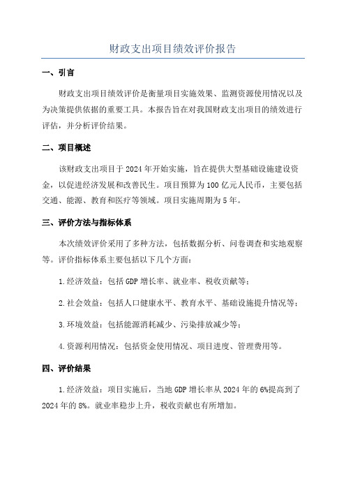 财政支出项目绩效评价报告