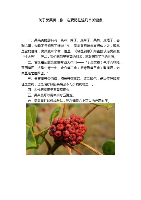 关于吴茱萸，你一定要记住这几个关键点