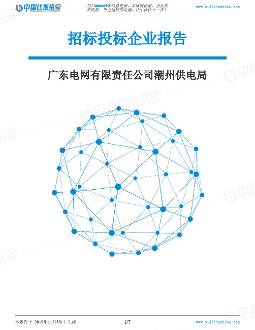 广东电网有限责任公司潮州供电局-招投标数据分析报告