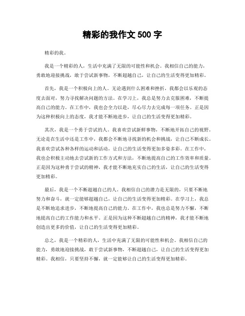 精彩的我作文500字