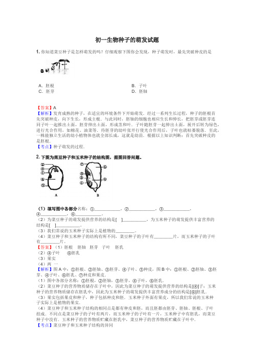 初一生物种子的萌发试题
