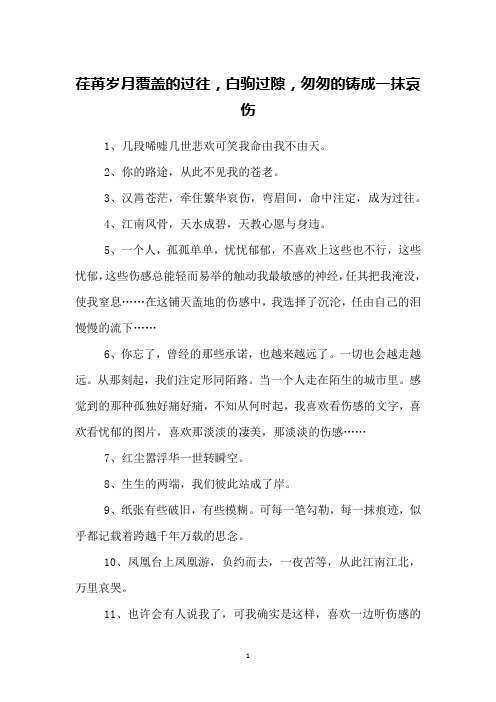 荏苒岁月覆盖的过往,白驹过隙,匆匆的铸成一抹哀伤
