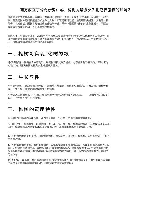 南方成立了构树研究中心，构树为啥会火？用它养猪真的好吗？