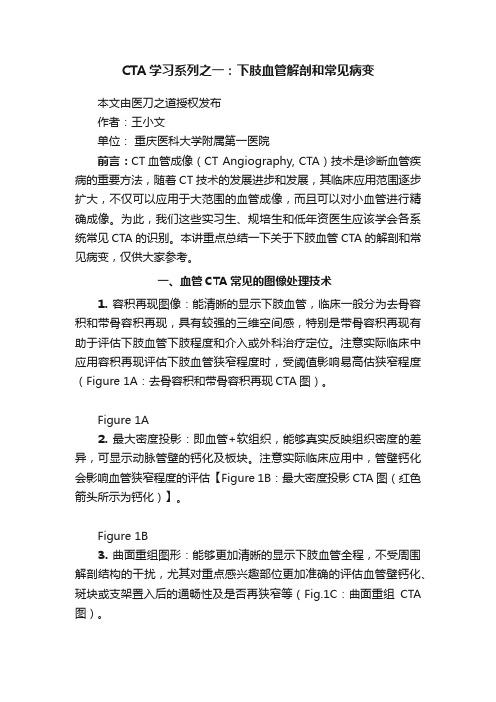 CTA学习系列之一：下肢血管解剖和常见病变