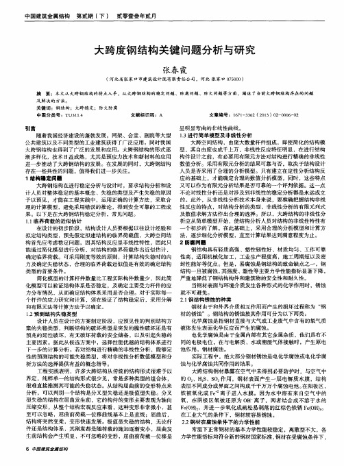 大跨度钢结构关键问题分析与研究