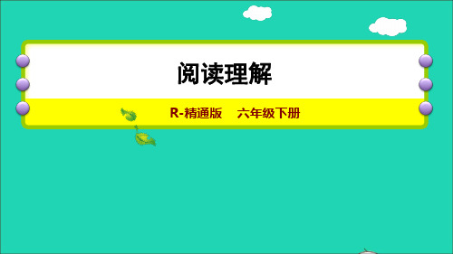 小升初英语专项复习训练阅读理解课件人教精通版