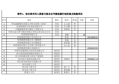 副本附件1 (1)