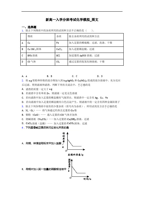 新高一入学分班考试化学模拟_图文