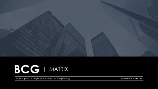 BCG_Matrix- 波士顿矩阵ppt