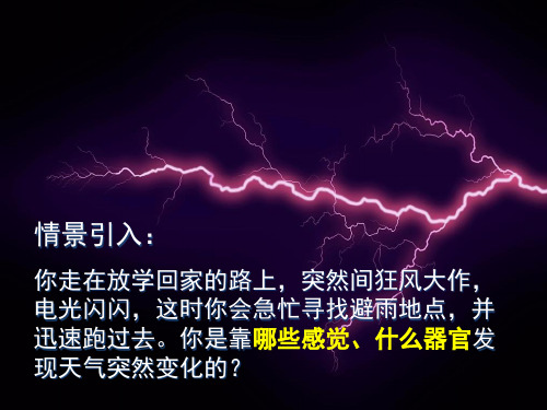 感受器和感觉器官PPT课件2 北师大版优秀课件