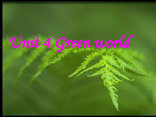 高三英语上学期unit4 Green world