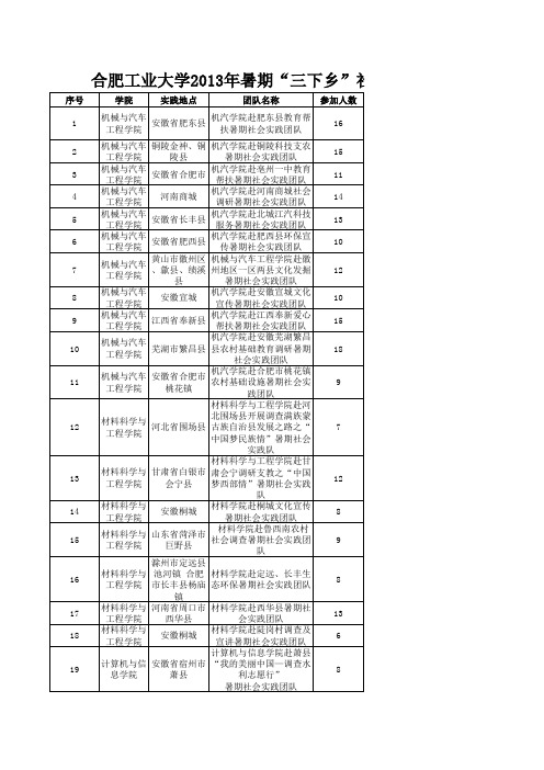 2013年合肥工业大学大学生暑期“三下乡”社会实践重点团队