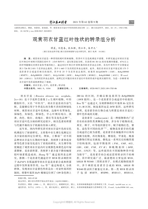 观赏羽衣甘蓝红叶性状的转录组分析