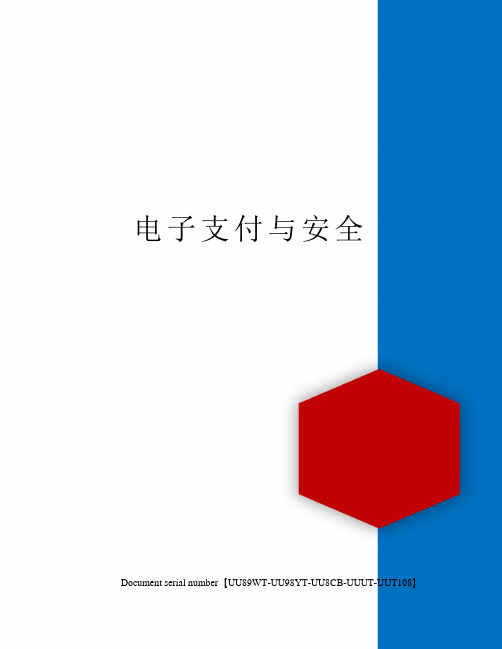 电子支付与安全