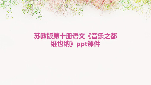 苏教版第十册语文《音乐之都维也纳》ppt课件