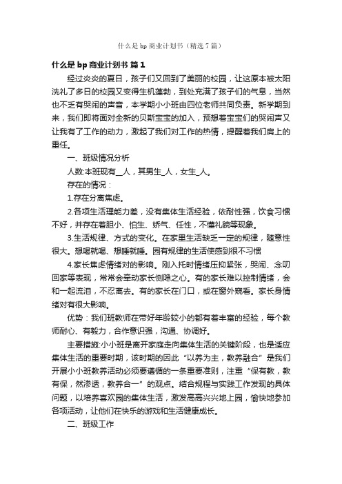 什么是bp商业计划书（精选7篇）