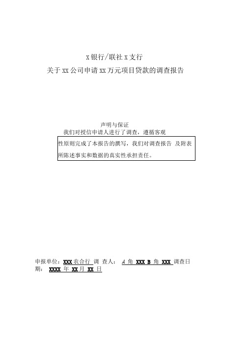 项目贷款调查报告(案例)